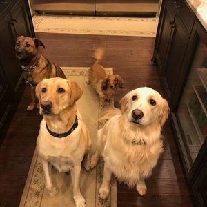 Meet your Posher, Lori